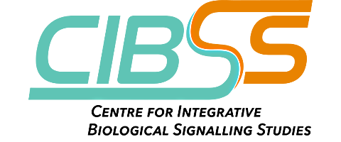 CIBSS_logo.png